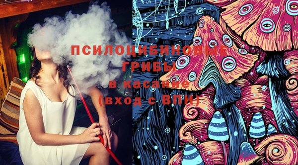 бошки Армянск