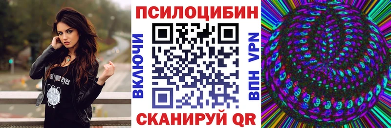 Псилоцибиновые грибы Cubensis  мориарти Telegram  Сычёвка  магазин продажи наркотиков 